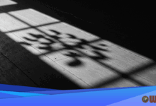 A Book Reflects On A Girl's Ritual Of Survival